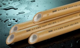 德國立樂怎么樣,請問ppr水管什么品牌好