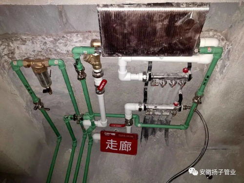 看完才知道ppr水管打壓這么重要